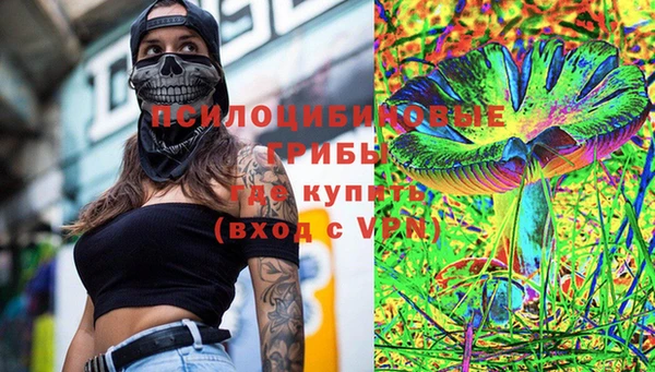 ECSTASY Абаза