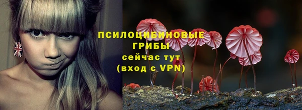 ECSTASY Абаза