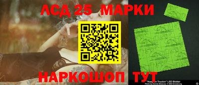 Альфа ПВП Гусев