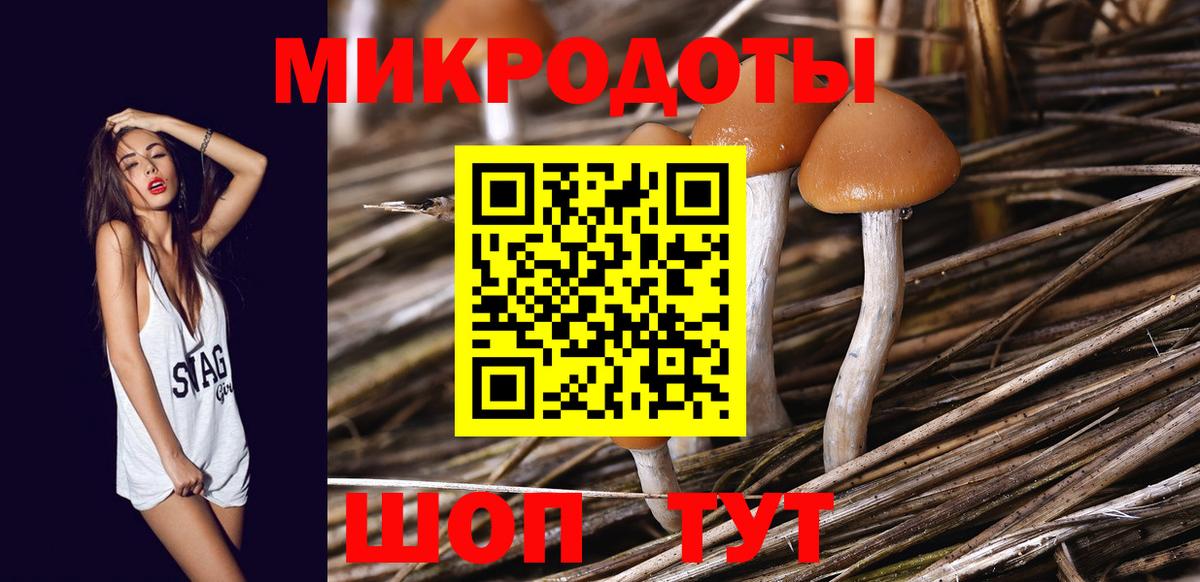 Купить наркотики  COCAIN  Codein  Чебаркуль  Марихуана  Мефедрон   А ПВП СОЛЬ   Гашиш  Вход с VPN  ГАШ 