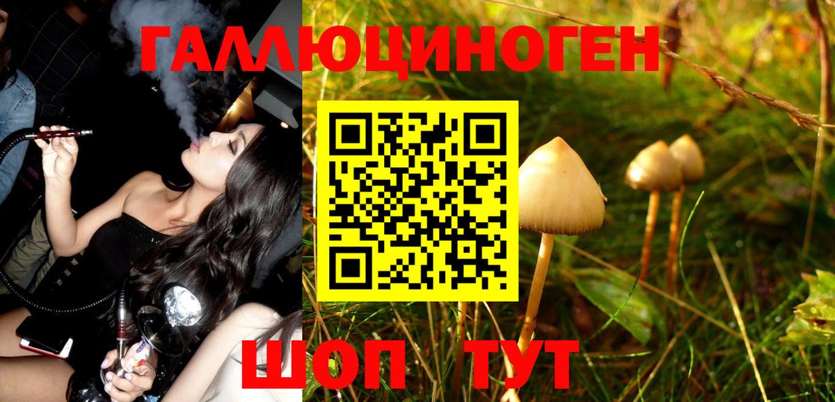 Чебаркуль  Псилоцибиновые грибы Magic Shrooms  Псилоцибиновые грибы ЛСД  Вход с VPN 